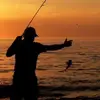 tackleetales - @tackleetales - TikTok