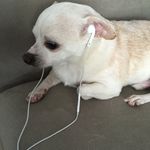 Taco Johnson - @tacojohnson3 - Instagram