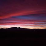 Taco Johnson - @coachk403 - Instagram