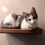 Taco Sanchez Ubaque - @taco_mich - Instagram