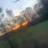 Tacoma Brown - @tacoma.brown4 - TikTok
