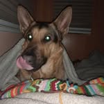 Tad Abbott - @tad.abbott - Instagram