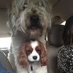 Tad Bailey - @tad.bailey - Instagram
