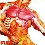 Daniel Stadelbauer - @danielstadelbauer - Instagram