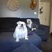 Tadd Bell - Facebook