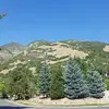 Tad Brooks - @tad.brooks1 - TikTok