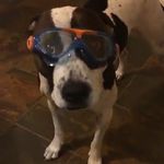 Tad Clark - @tad.clark.16 - Instagram