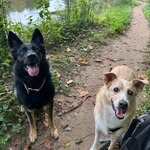 Morgan - @tad.cooper.and.skya.adventures - Instagram