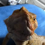 Tad Cooper - @tadc00per - Instagram