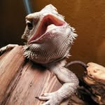 Tad Cooper - @the_tad_cooper - Instagram