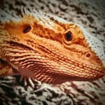 Tad cooper - @tad_cooper_1 - Instagram