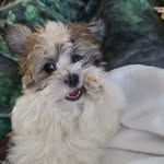 Tad Cooper - @oh_tad_cooper - Instagram