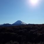 Tad Cooper - @tadcooper3 - Instagram