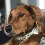 Tad Cooper - @mr_tad_cooper - Instagram