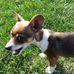 Tad Cooper - Facebook