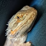 Tad Cooper - @tadcooper_dragonpal - Instagram