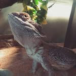 Tad Cooper - @vp.tadcooper - Instagram