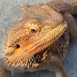 Tad Cooper - @mynameistadcooper - Instagram