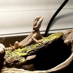 Tad Cooper Jr. - @tadcooper.jr - Instagram