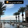 Tadeu Fehsemeyer - @tadeufehsemeyer53 - TikTok