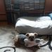 Debbie Pierson-Taddeo - Facebook