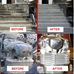 TAD Stone Restoration - Facebook