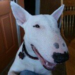Tad Taylor - @huckleberrymoose - Instagram