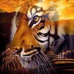 Tad Turner - @tadturner62 - Instagram