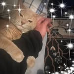 Tad R Wagner - @tad.scewzucker.3 - Instagram