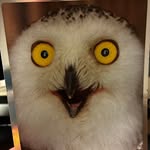 Tad Wagner - @twolf1920_ - Instagram