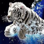 Tad Wilson - @tad.wilson - Instagram