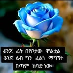 Tadele Alemu - Facebook