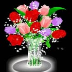 Tadele Mekonnen - Facebook