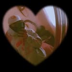 Tadeo Cerda - @tadeocerda3 - Instagram