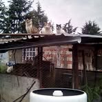 Tadeo Escobar - Facebook