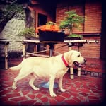 Tadeo Escobar - @jtadeoe - Instagram