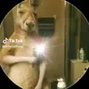 Tadeo Escobar - @tadeoescobar9410 - TikTok