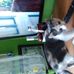 Tadeusz Majewski - Facebook