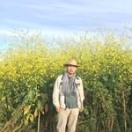 Tae Cheong Choo - @taechoo1 - Instagram