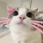 Tae Cho - Facebook