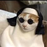 @taechookq - Instagram