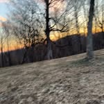 TaeLambka - @taelambka - Instagram