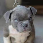 Evontae Townsend - @townsendevontae - Instagram