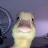 teegan_doyle104 - @teegan_doyle104 - TikTok