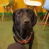 taegon kim - @taegon.kim0 - TikTok
