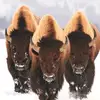 TaeGon kim - @taegon.kim22 - TikTok