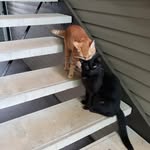 Taehee Ryu - @thryu1 - Instagram
