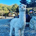 임태훈 - @taehoon_lim - Instagram