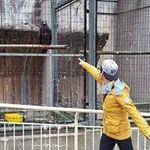 Taejin In - @taejin.in - Instagram