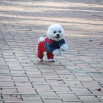 김태운 - @taeun.kim_ - Instagram